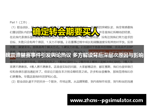 魏震遭禁赛事件引发舆论热议 多方解读背后深层次原因与影响